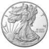 1 oz American Silver Eagle Coin (Random Year)