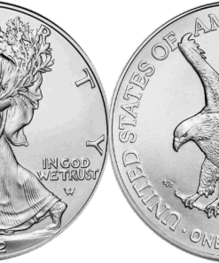 1 oz American Silver Eagle Coin