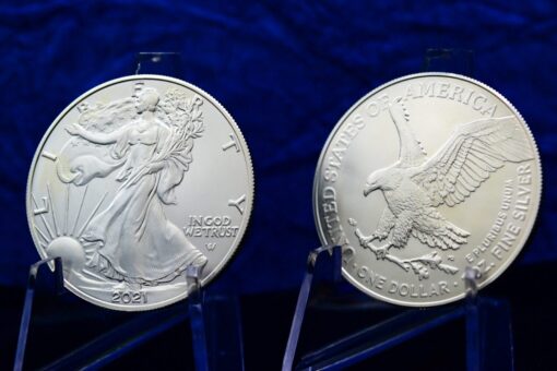 1 Oz American Silver Eagle Coin (Random Year)