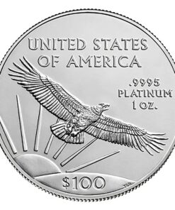 Alternative view of 1 oz Platinum American Eagle