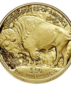 1 oz 2023 American Gold Buffalo Coin Back