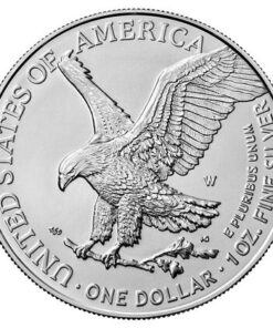 2023 1 oz American Silver Eagle Coin