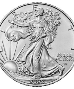 2023 1 oz American Silver Eagle Coin