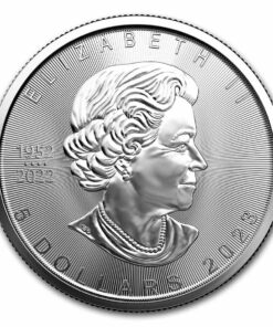 2023 1 oz Canadian Silver Maple Coin