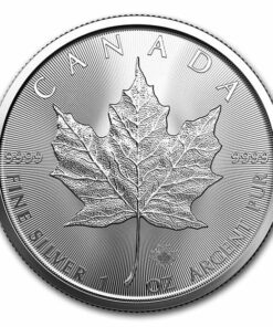 2023 1 oz Canadian Silver Maple Coin