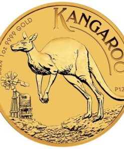 1 oz Australian Kangaroo Gold Coin